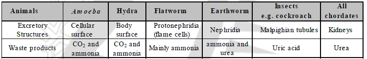 Excretion In Plant and Animals Class 10 Notes Science