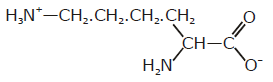 Previous Year Questions - Biomolecules (IIT - JEE Advanced)