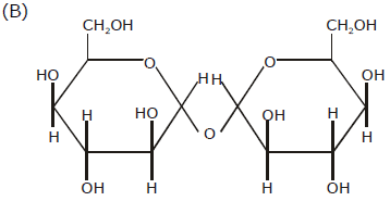 Previous Year Questions - Biomolecules (IIT - JEE Advanced)