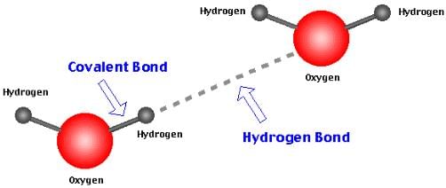 Chemical Bonding & Molecular Structure Class 11 Notes Chemistry Chapter 4