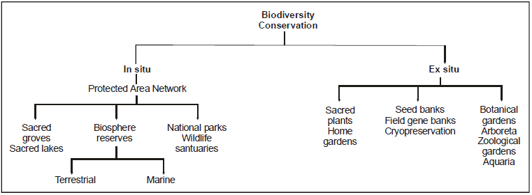 biology
