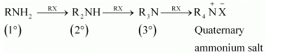 NCERT Solutions Class 12 Chemistry Chapter 9 - Amines