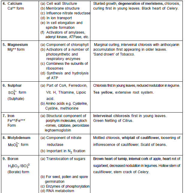 Important,Chapter,Notes,Mineral,Nutrition,Class,11,Biology