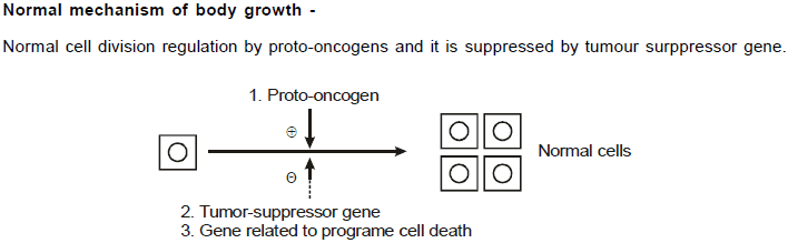 Chapter Notes - Immunity and Disease, Class 12, Biology (AIPMT)