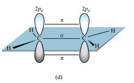 NCERT Solutions Class 11 Chemistry Chapter 4 - Chemical Bonding & Molecular Structure