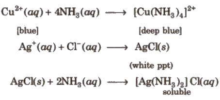 Group 15 Elements: Nitrogen Family | Chemistry Class 12 - NEET