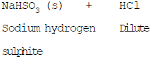 Physical and Chemical Properties of Acids - Class 10