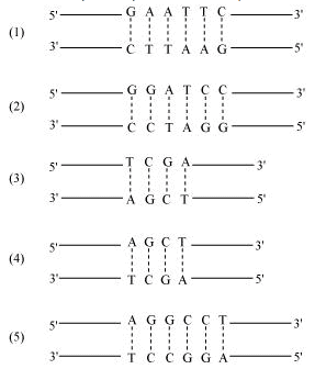 Biotechnology: Principles & Processes NCERT Solutions | Biology Class 12 - NEET