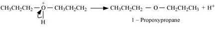 NCERT Solutions Class 12 Chemistry Chapter 7 - Alcohols, Phenols & Ethers