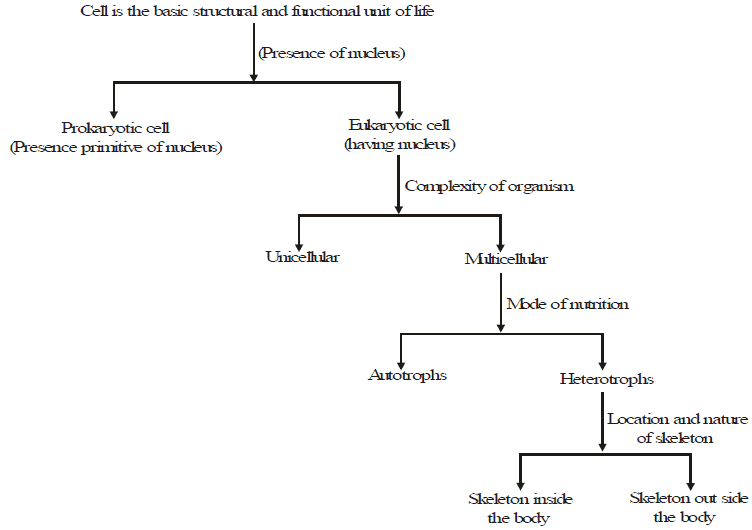Speciation, Evolution & Classification - Class 10