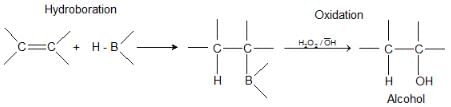 Hydrocarbons Class 11 Notes Chemistry Chapter 9