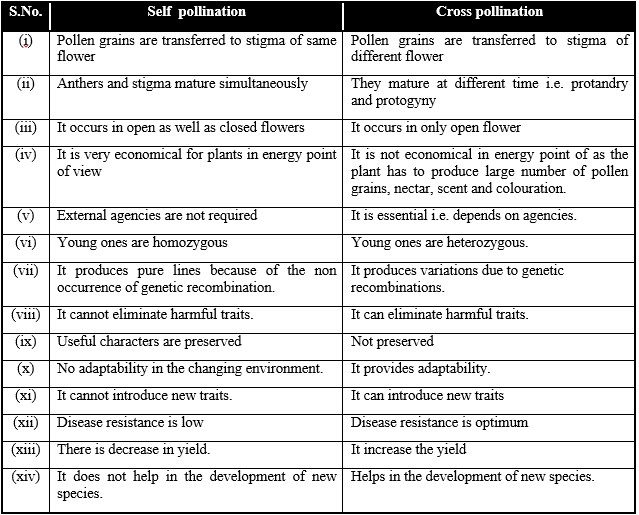 Sexual Reproduction in Flowering Plants, Chapter Notes, Class 12, Biology, Part -2