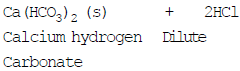 Physical and Chemical Properties of Acids - Class 10