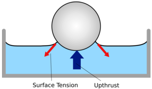Liquids at Rest Class 11 Notes Physics