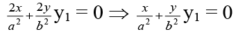 JEE Advanced (Single Correct Type): Differential Equations | Chapter-wise Tests for JEE Main & Advanced