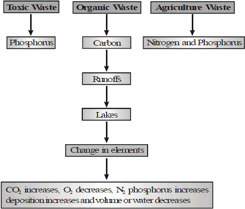 Types of Pollution | Biology for Grade 9