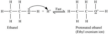 NCERT Solutions Class 12 Chemistry Chapter 7 - Alcohols, Phenols & Ethers