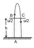 Motion under Gravity - JEE