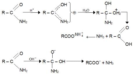 Aldehydes, Ketones & Carboxylic Acids Class 12 Notes Chemistry Chapter 8