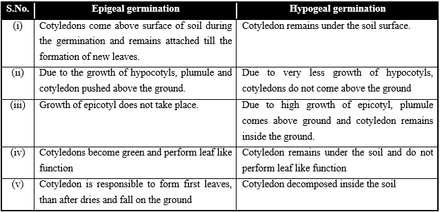 Sexual Reproduction in Flowering Plants, Chapter Notes, Class 12, Biology, Part -2