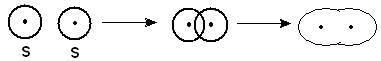 Chemical Bonding & Molecular Structure Class 11 Notes Chemistry Chapter 4