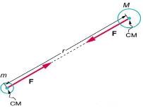 Gravitation & Projectile Class 11 Notes Physics