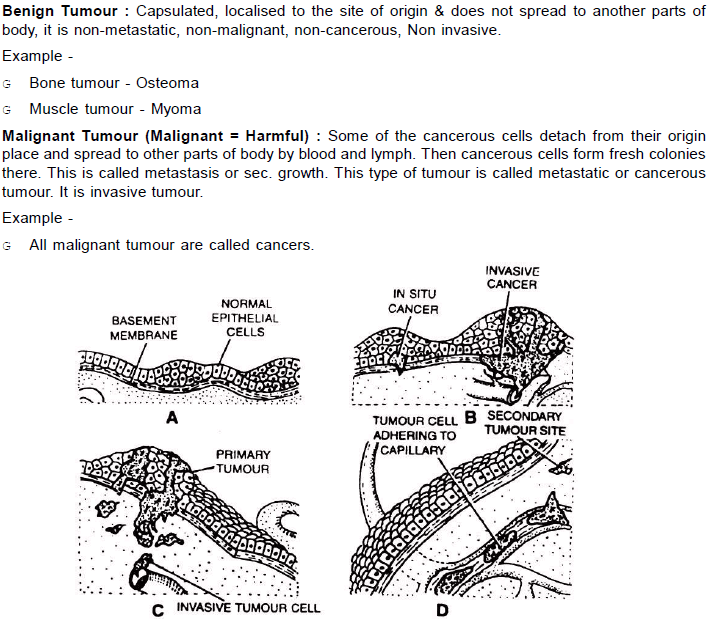 Chapter Notes - Immunity and Disease, Class 12, Biology (AIPMT)
