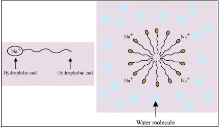 Surface Chemistry (Old NCERT) NCERT Solutions | Chemistry for JEE Main & Advanced