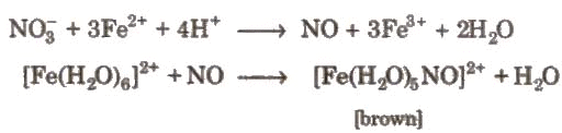 Group 15 Elements: Nitrogen Family | Chemistry Class 12 - NEET