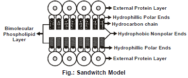 Cell Biology, Chapter Notes, Class 11, Biology