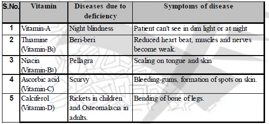Life Processes Class 10 Notes Science Chapter 5