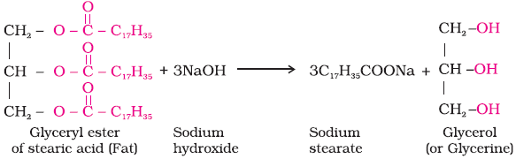 Chemistry in Everyday Life Class 11 Notes Chemistry Chapter 16