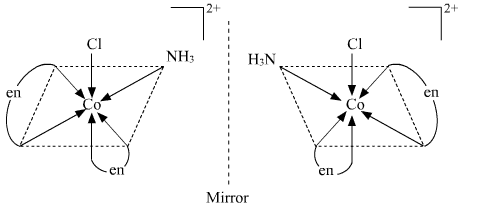 NCERT Solutions Class 12 Chemistry Chapter 5 - Coordination Compounds