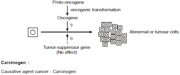 Chapter Notes - Immunity and Disease, Class 12, Biology (AIPMT)