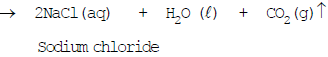 Physical and Chemical Properties of Acids - Class 10