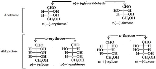 Biomolecules Class 11 Notes Biology Chapter 9