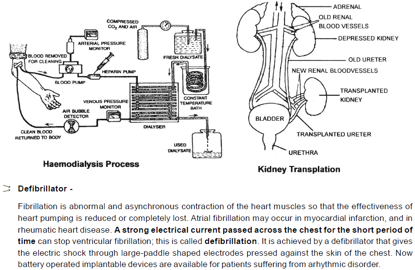 Chapter Notes - Immunity and Disease, Class 12, Biology (AIPMT)