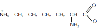 Previous Year Questions - Structure of Atom, Class 11 (IIT - JEE Advanced)