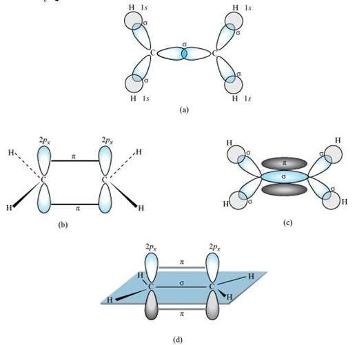 Chemical Bonding, NCERT Solutions, Class 11, Chemistry | Additional Study Material for Class 11