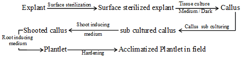 biology