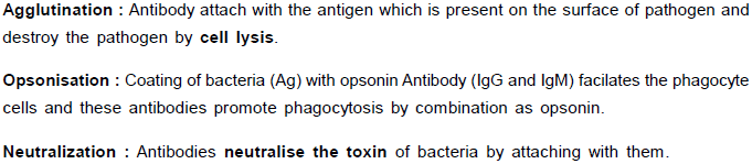 Chapter Notes - Immunity and Disease, Class 12, Biology (AIPMT)