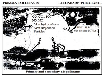 Types of Pollution | Biology for Grade 9
