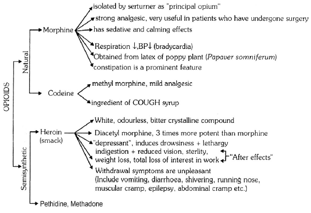Chapter Notes - Immunity and Disease, Class 12, Biology (AIPMT)