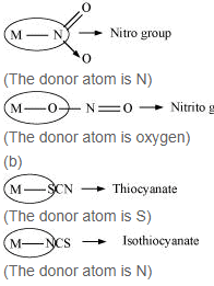 NCERT Solutions Class 12 Chemistry Chapter 5 - Coordination Compounds