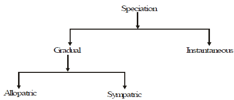 Speciation, Evolution & Classification - Class 10