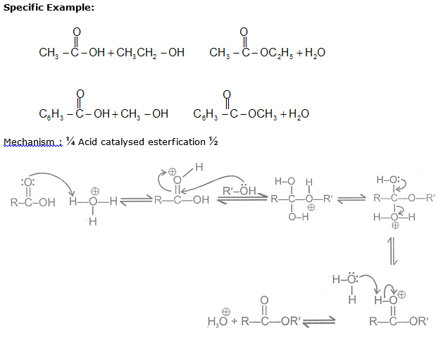 Aldehydes, Ketones, Carboxylic Acids, CBSE, Class XII, IIT JEE, Syllabus, Preparation, AIPMT, NCERT, Important