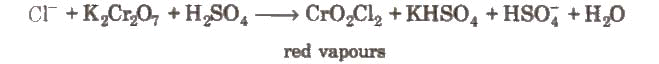 Group 17 Elements: Halogens Family | Chemistry Class 12 - NEET