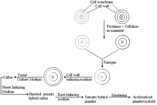biology