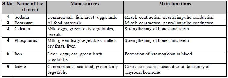 Life Processes Class 10 Notes Science Chapter 5