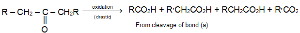 Aldehydes, Ketones & Carboxylic Acids Class 12 Notes Chemistry Chapter 8